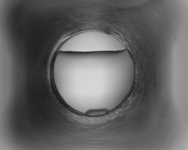 X0000099510006200805151021