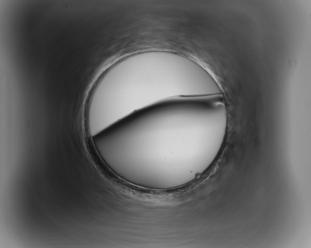 X0000099510008200805151021