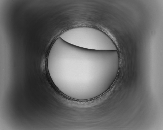 X0000099510010200805151021