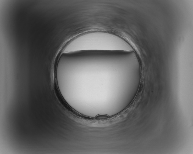X0000099510011200805151021