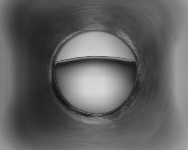 X0000099510012200805151021