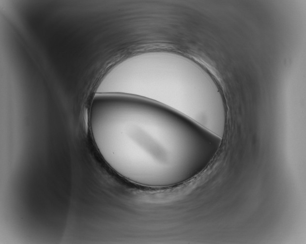 X0000099510013200805151021