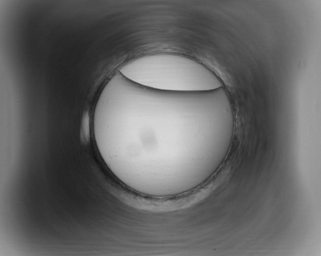 X0000099510014200805151021