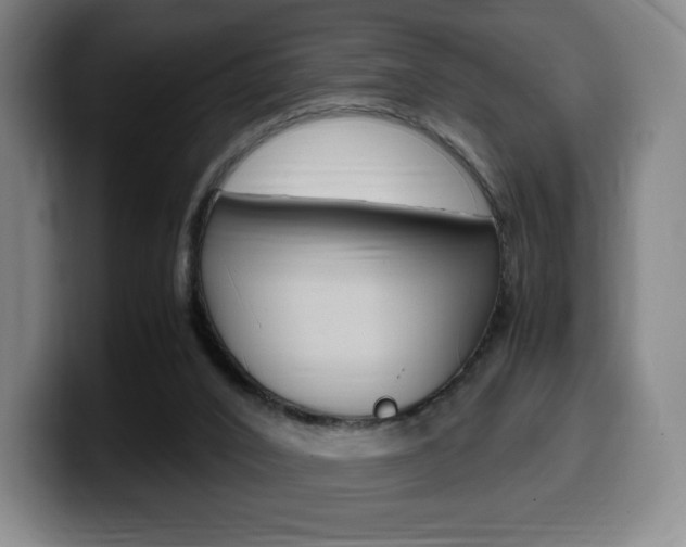 X0000099510016200805151021