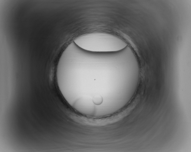 X0000099510018200805151021