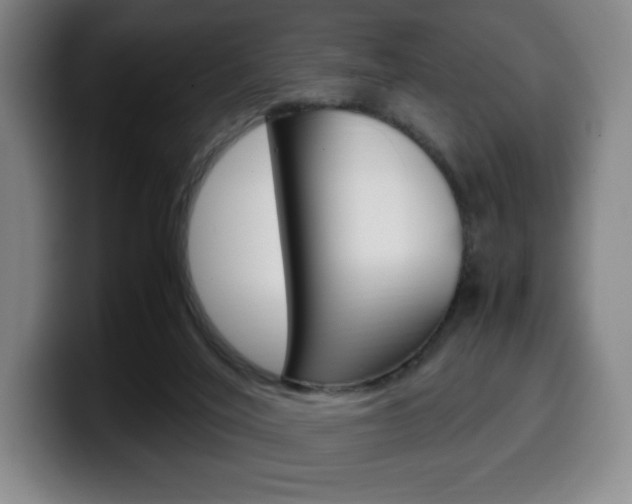 X0000099510020200805151021