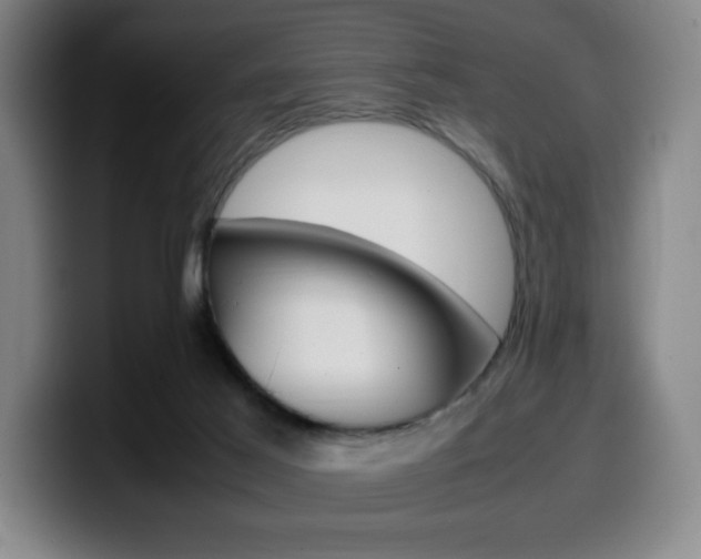 X0000099510021200805151021