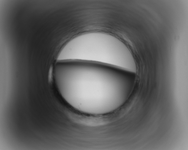 X0000099510024200805151020