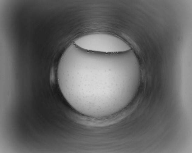 X0000099510026200805151020
