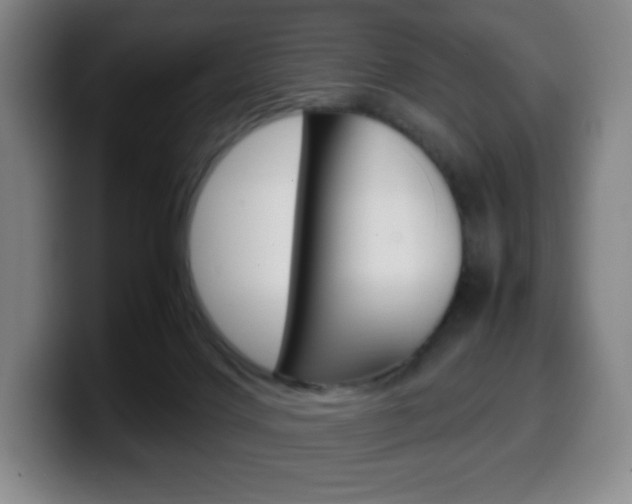 X0000099510028200805151020