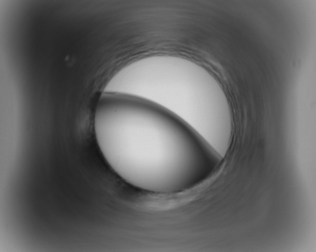 X0000099510029200805151020