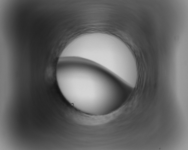X0000099510031200805151020