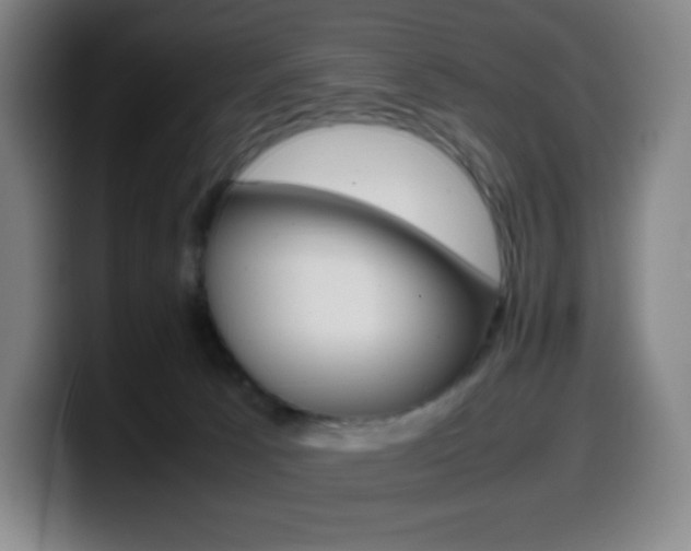X0000099510033200805151020
