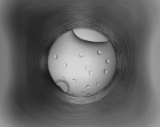 X0000099510034200805151020