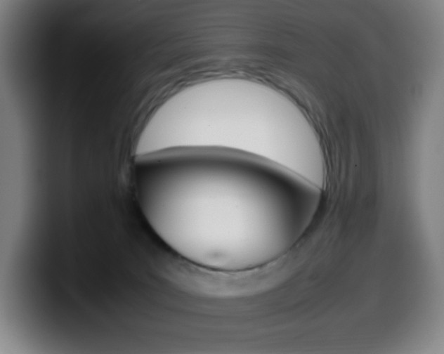 X0000099510035200805151020