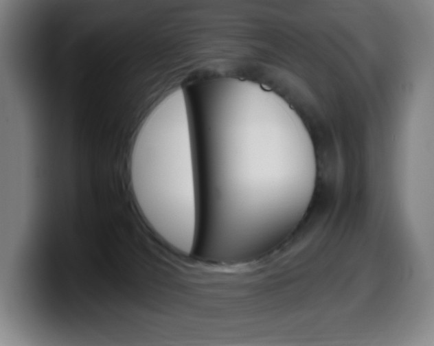 X0000099510036200805151020