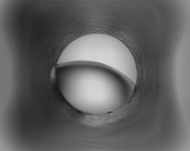 X0000099510041200805151020