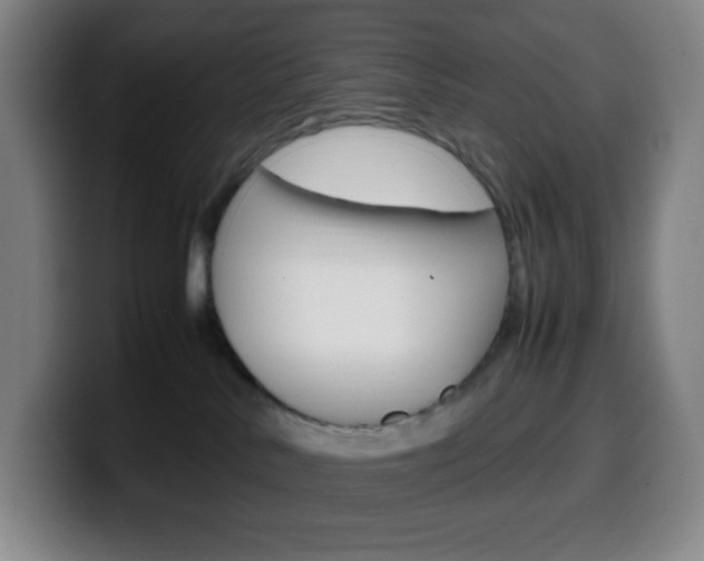 X0000099510042200805151020