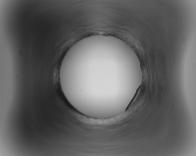X0000099510043200805151020