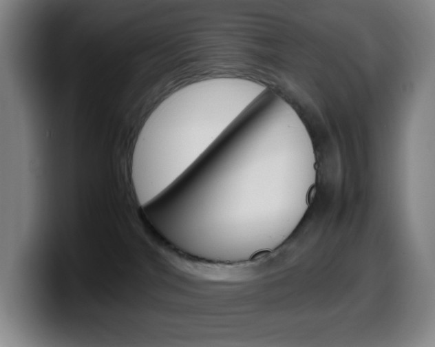 X0000099510044200805151020