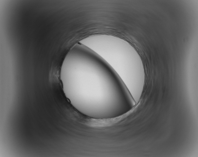 X0000099510045200805151020