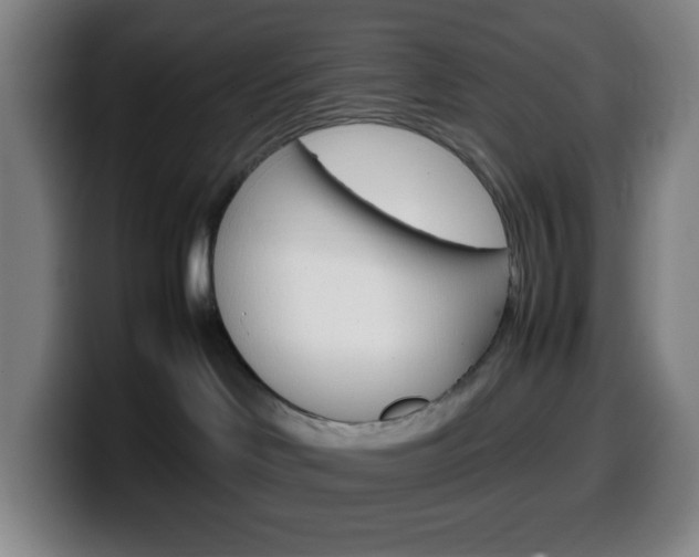 X0000099510046200805151020