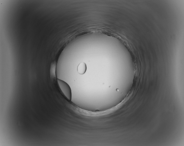 X0000099510047200805151020