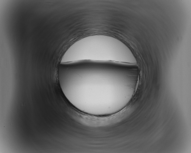 X0000099510048200805151020