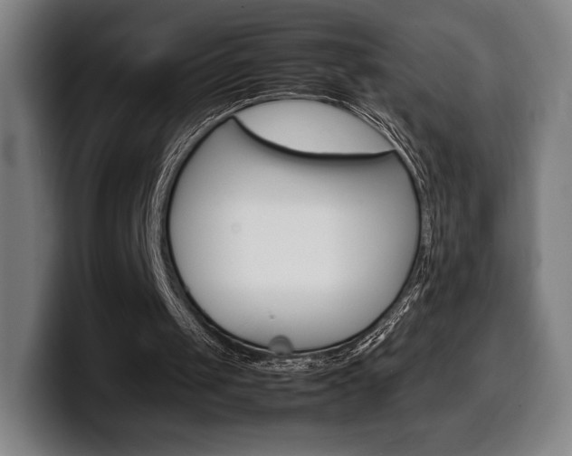 X0000099510049200805151019