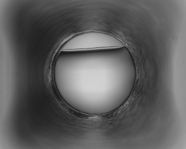 X0000099510050200805151019