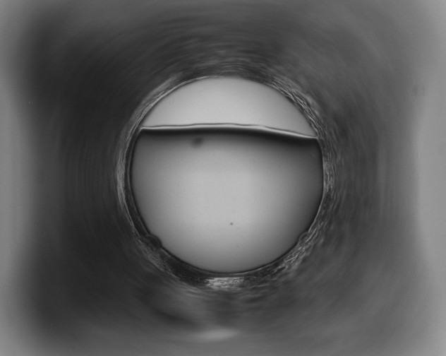 X0000099510051200805151019