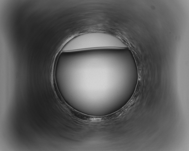 X0000099510052200805151020