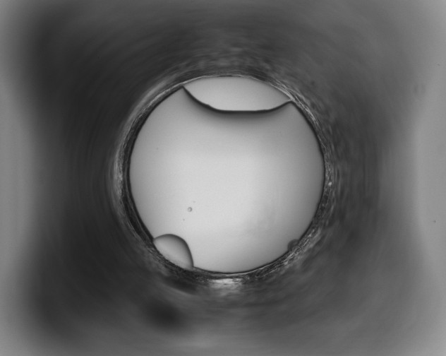 X0000099510053200805151020