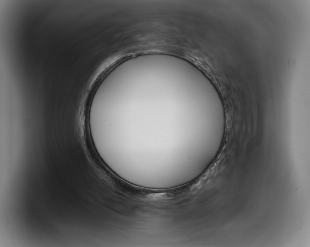 X0000099510054200805151020