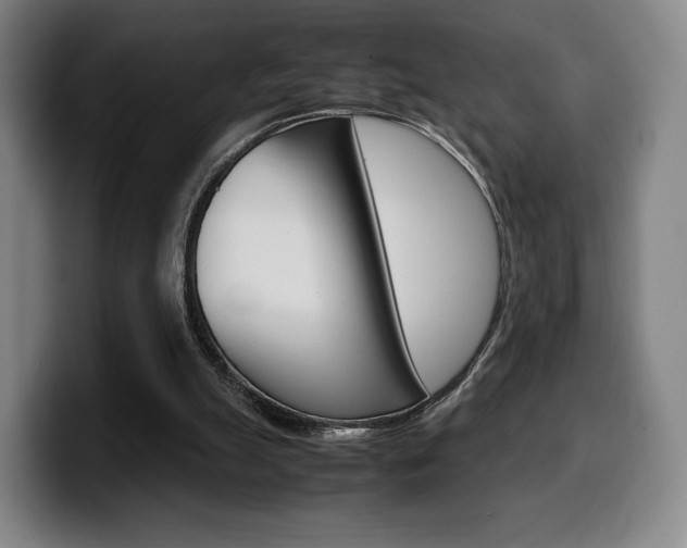 X0000099510055200805151020