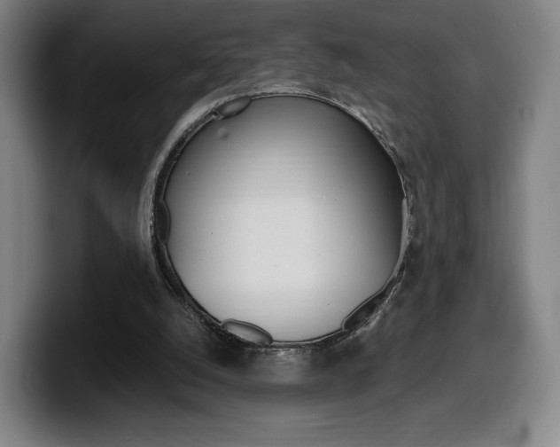 X0000099510056200805151020