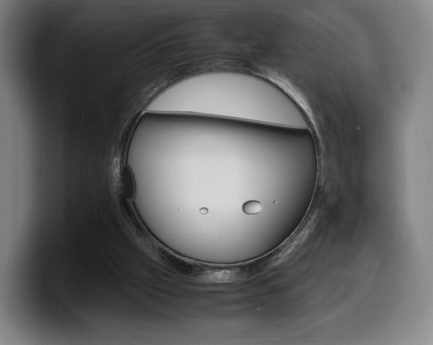 X0000099510057200805151020