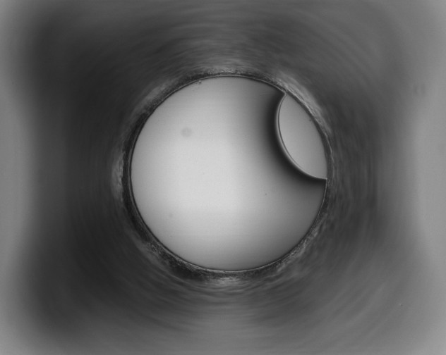 X0000099510058200805151020