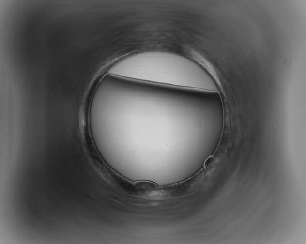X0000099510059200805151020