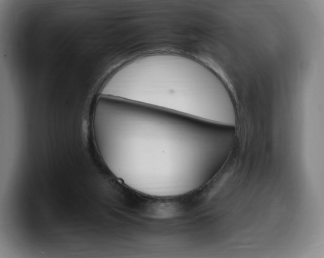 X0000099510063200805151020