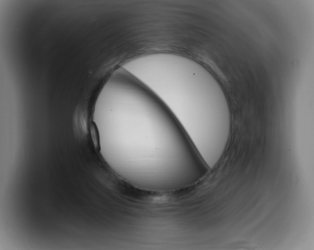 X0000099510068200805151020