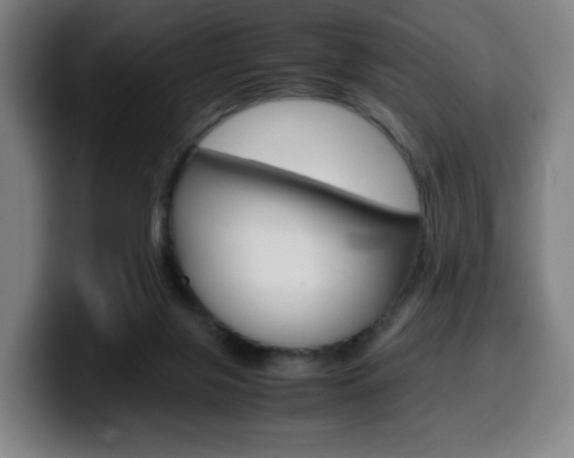 X0000099510071200805151020