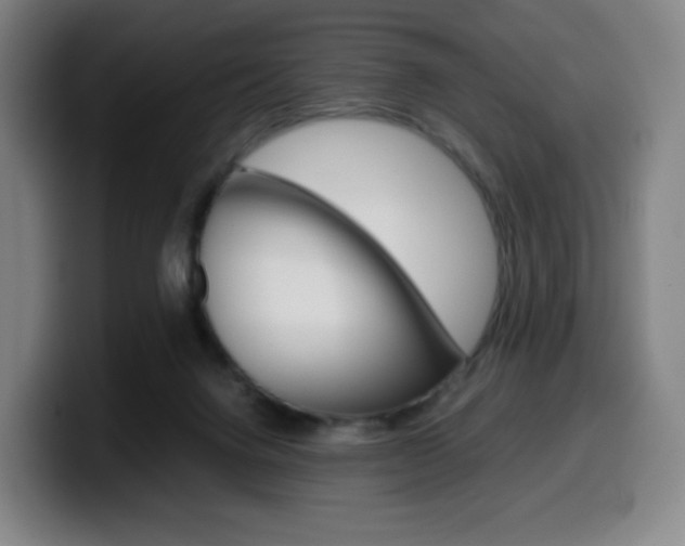 X0000099510072200805151020