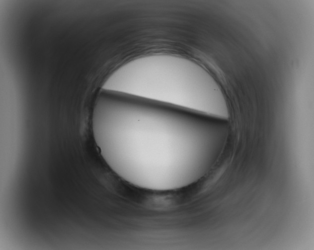 X0000099510073200805151020