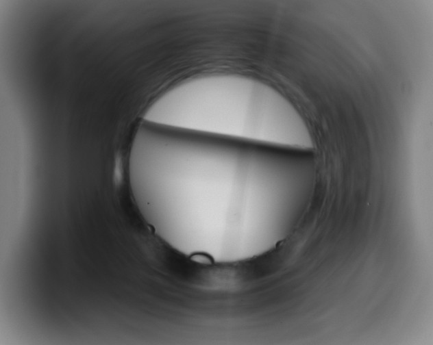 X0000099510075200805151020