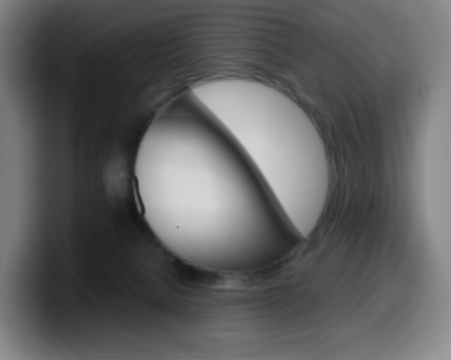 X0000099510080200805151020