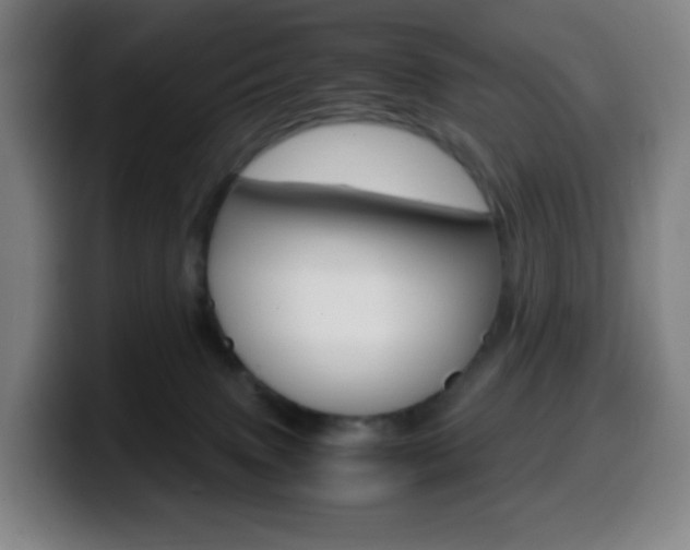 X0000099510083200805151020