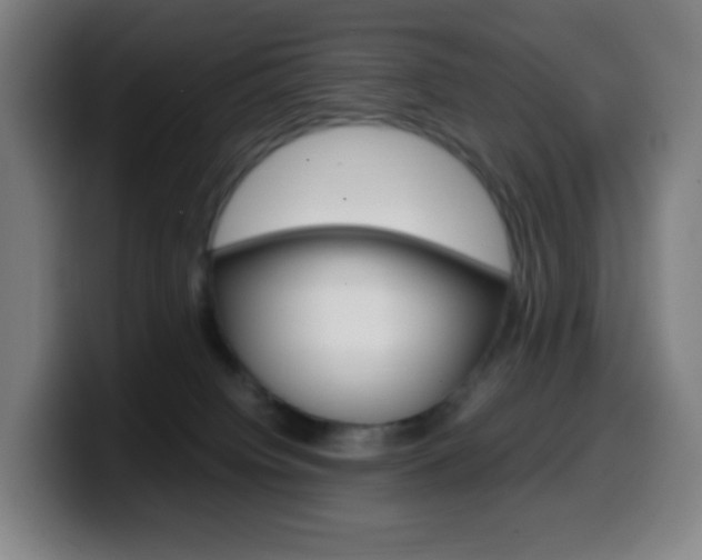 X0000099510084200805151020
