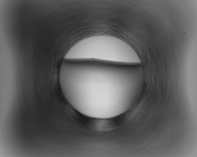 X0000099510085200805151020