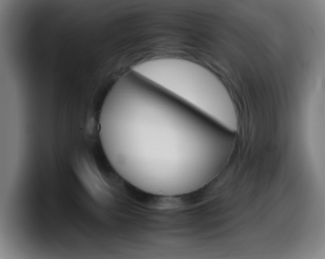 X0000099510087200805151020